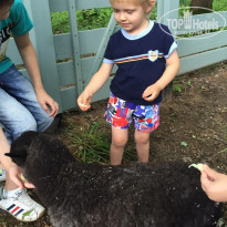 фото из отзыва ID 1247350