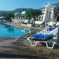 фото из отзыва ID 1247399