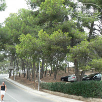 фото из отзыва ID 1247449