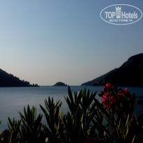 фото из отзыва ID 1247528