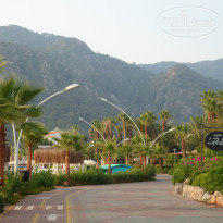 фото из отзыва ID 1247528