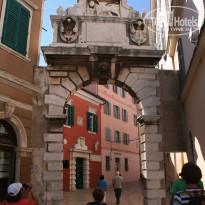 фото из отзыва ID 1247679