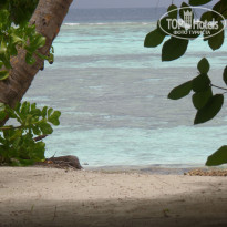 фото из отзыва ID 1248096