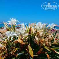 фото из отзыва ID 1246133