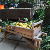 фото из отзыва ID 1248111