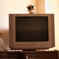 фото из отзыва ID 1248125