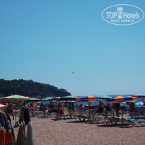 фото из отзыва ID 1248255