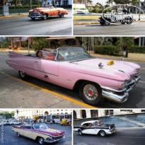 фото из отзыва ID 1248386