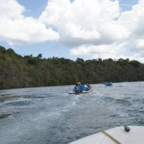 фото из отзыва ID 1248386