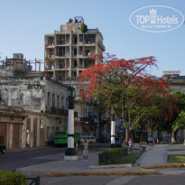 фото из отзыва ID 1248386