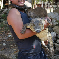 фото из отзыва ID 1248386