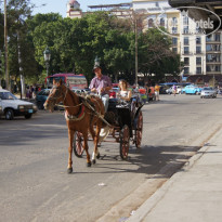 фото из отзыва ID 1248386