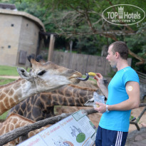 фото из отзыва ID 1248556