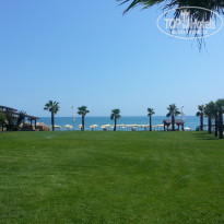 фото из отзыва ID 1248840