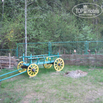 фото из отзыва ID 1248868