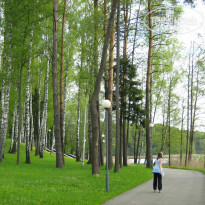 фото из отзыва ID 1248868