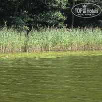 фото из отзыва ID 1248868