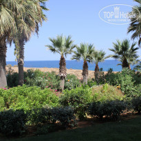 фото из отзыва ID 1248909