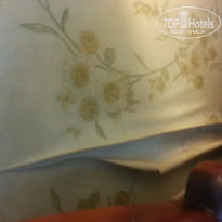 фото из отзыва ID 1248924