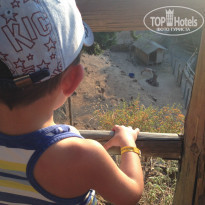 фото из отзыва ID 1248926