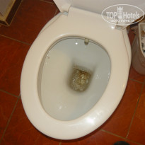 фото из отзыва ID 1246832