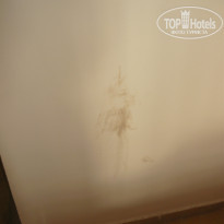 фото из отзыва ID 1246832