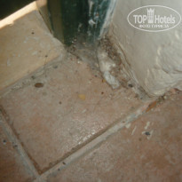 фото из отзыва ID 1246832