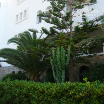 фото из отзыва ID 1249418