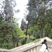 фото из отзыва ID 1249420