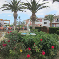 фото из отзыва ID 1249508