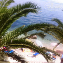 фото из отзыва ID 1249634