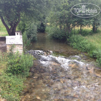 фото из отзыва ID 1249640