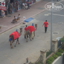 фото из отзыва ID 1249719