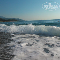 фото из отзыва ID 1249798