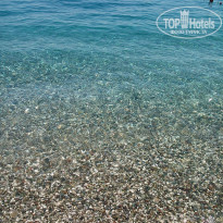 фото из отзыва ID 1249798