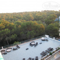 фото из отзыва ID 1249762