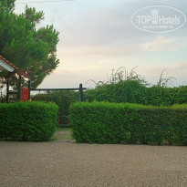 фото из отзыва ID 1249395