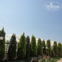 фото из отзыва ID 1249978