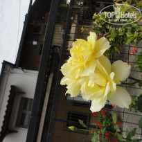 фото из отзыва ID 1249978