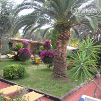 фото из отзыва ID 1249982