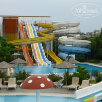 фото из отзыва ID 1248469