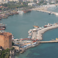 фото из отзыва ID 1241171