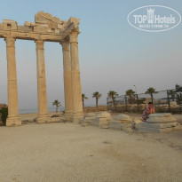 фото из отзыва ID 1240949