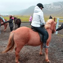 фото из отзыва ID 1245352