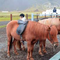 фото из отзыва ID 1245352