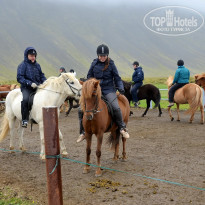 фото из отзыва ID 1245352