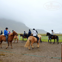 фото из отзыва ID 1245352