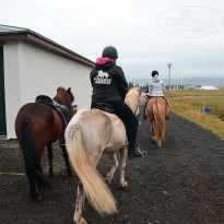 фото из отзыва ID 1245352