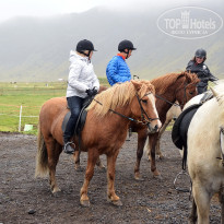 фото из отзыва ID 1245352