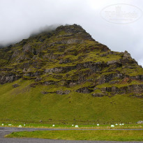 фото из отзыва ID 1245352